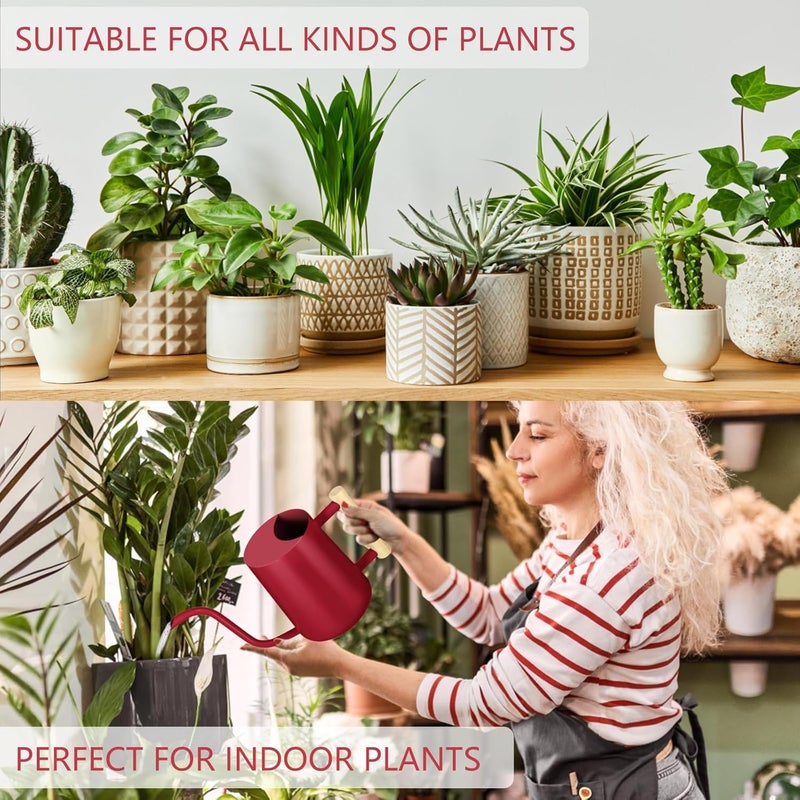 GUKJOB Watering Can Indoor Plants, 35oz Small Stainless Steel Metal Watering Can Modern Decorative Watering Pot with Long Spout for Indoor House Plant Bonsai Garden Flowers (Red) - Image 5